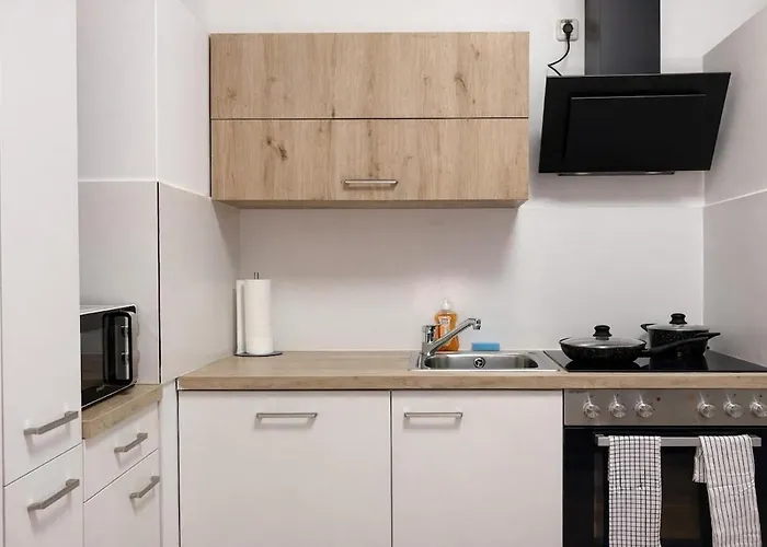 Donau Hauptplatz Haven, 2 Mins To The River * לינץ