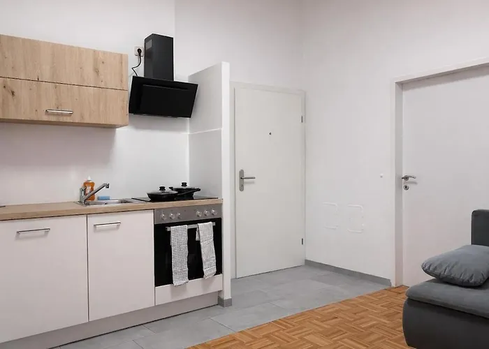 Donau Hauptplatz Haven, 2 Mins To The River דירה לינץ